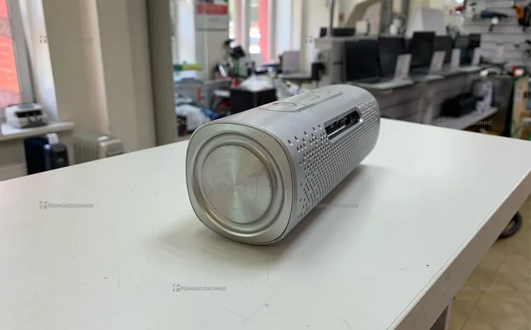Колонка  Koleer s819