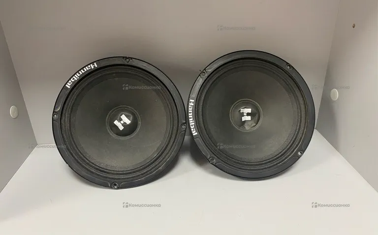 Колонки DB Hannibal HM 6E+