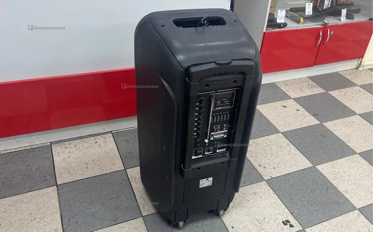 Колонка  Eltronic 20-08