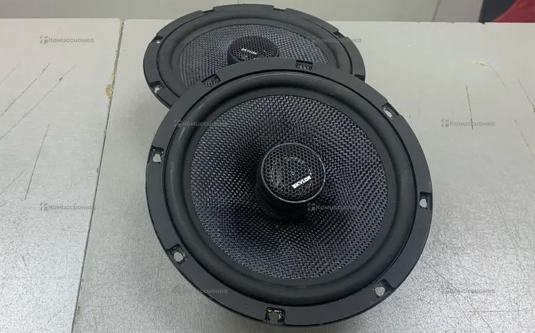 Колонка  Skylor Electronic EVO 6