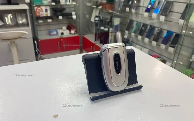 Samsung SGH-X450