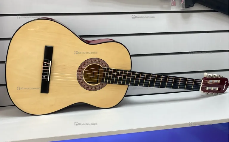 Гитара классическая Terris TC3901A NA