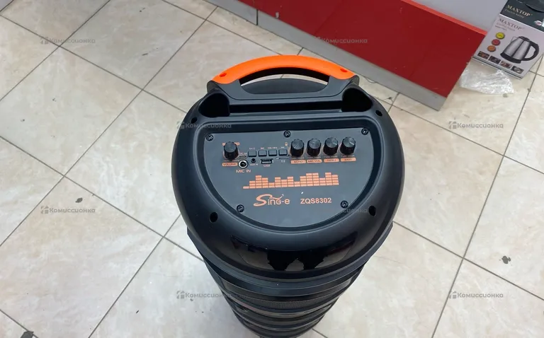 Колонка Sing-e ZQS8302