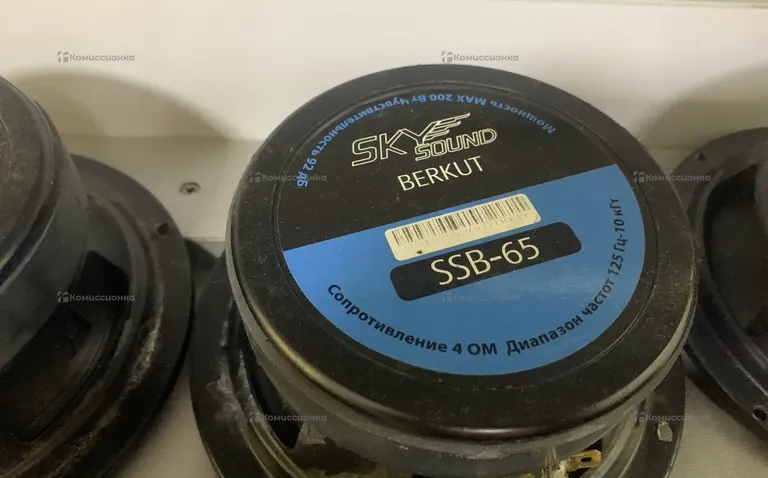 Колонка  SKYSOUND SSB-65