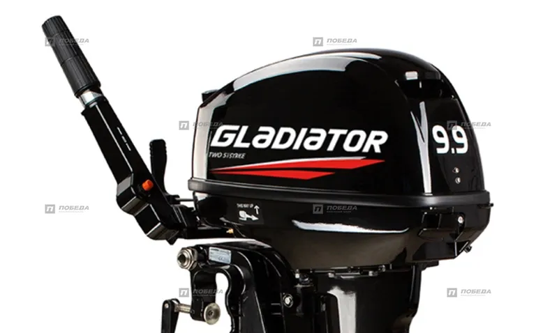 Моторная лодка Gladiator G9.9Pro