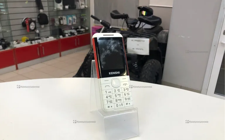 Kenshi м244