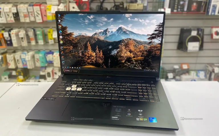 Ноутбук Asus FX707Z
