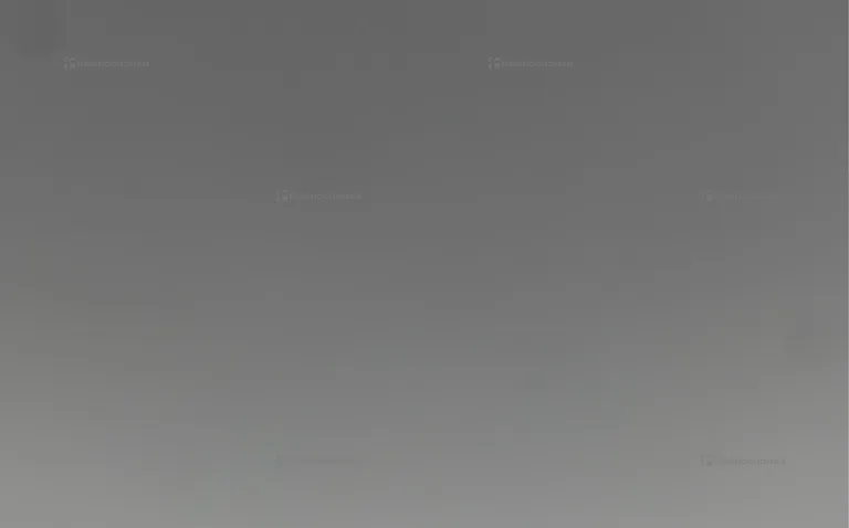 Xiaomi Redmi 13C 8/256Gb