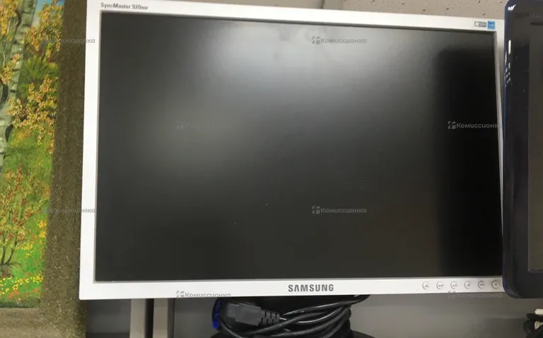 Samsung SyncMaster 920NW