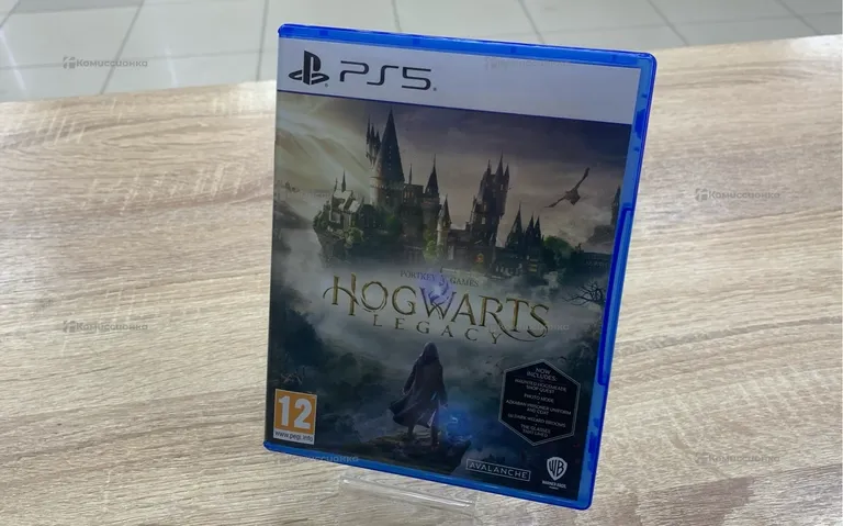 PS5 Диск Hogwarts Legacy