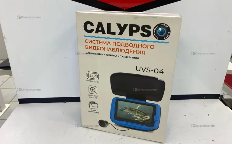 Система видеонаблюдения Calypso
