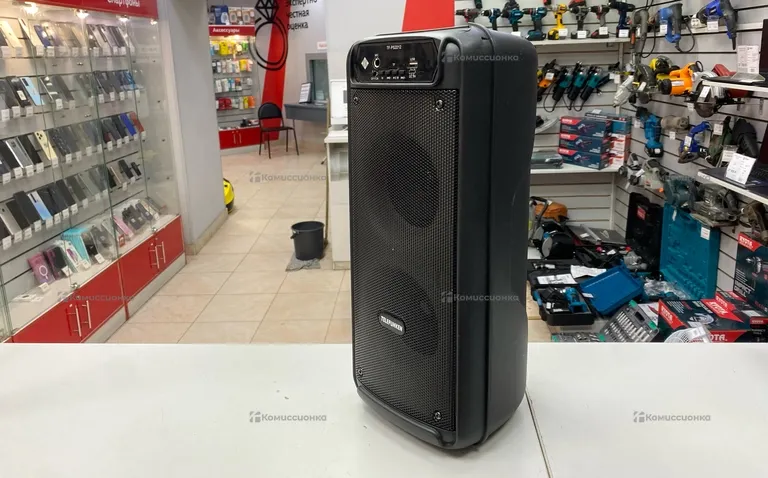 Колонка Telefunken TF-PS2212