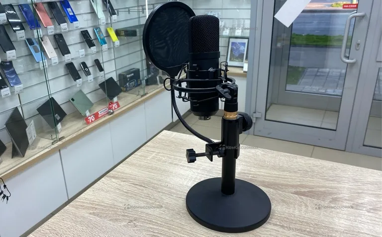 Микрофон Ritmix RDM175