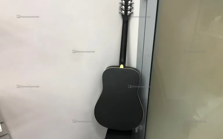 Акустическая гитара Еncore Ew100