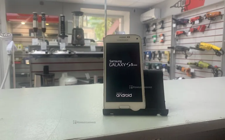 Samsung Galaxy S5 mini