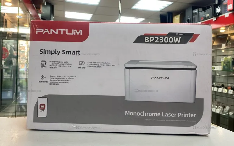 Принтер Pantum BP2300W