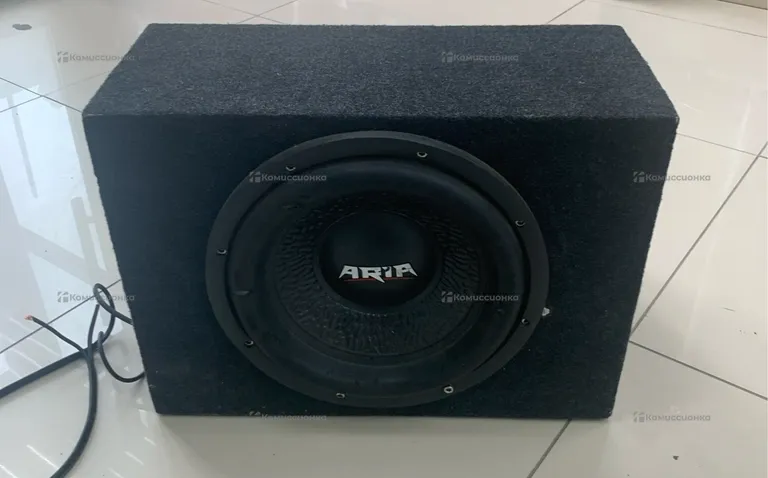 Сабвуфер  Aria 15