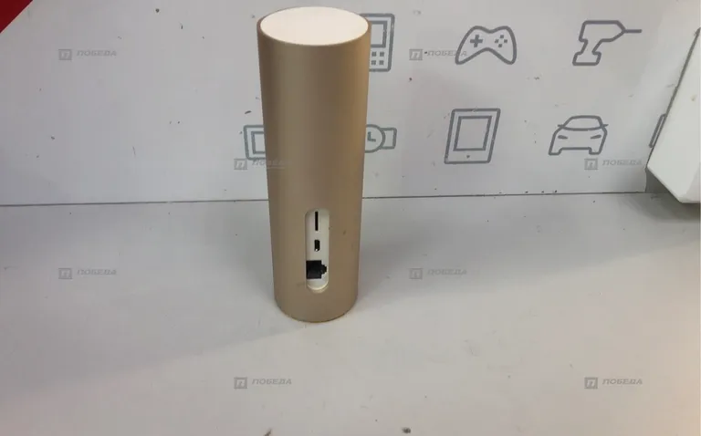 Камера наблюдения Netatmo