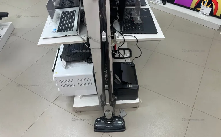 Пылесос Electrolux ergorapido lithium