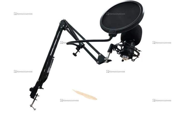 Микрофон конденсаторный настольный RITMIX RDM-169 USB Black