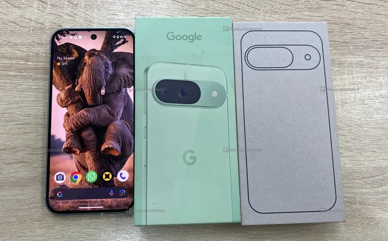 Google Pixel 9 12 /256Gb