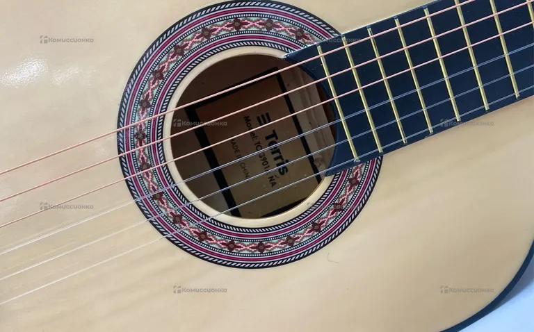 Гитара классическая Terris TC3901A NA