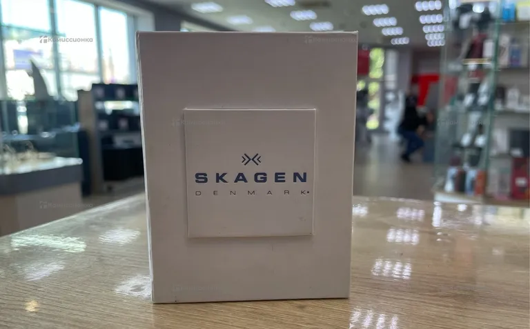 Часы  SKAGEN