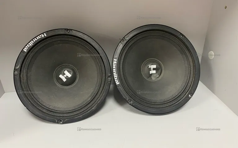 Колонки DB Hannibal HM 6E+