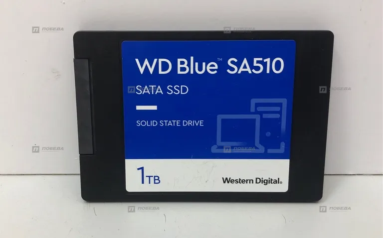 Ssd WD BLUE SA510 1tb