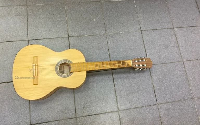Гитара Hora Eco ss100