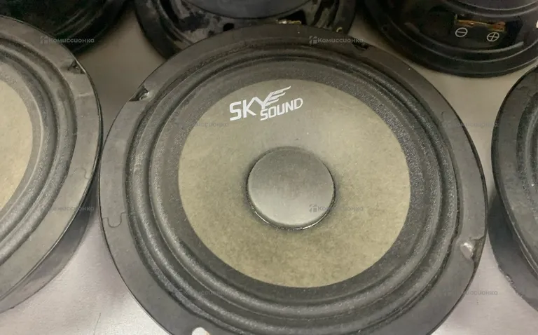Колонка  SKYSOUND SSB-65