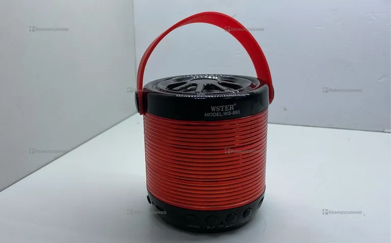 Колонка  WSTER WS-883