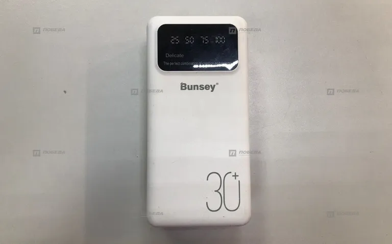 Power Bank Bunsey