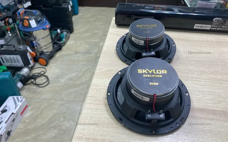 Колонка  Skylor EV06.