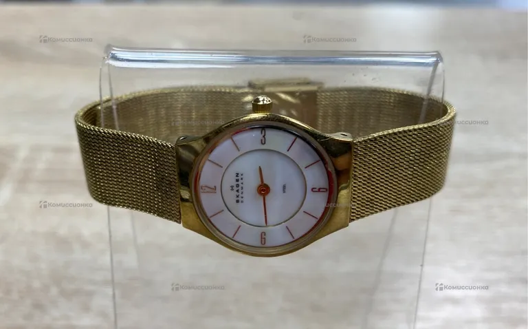 Часы  skagen