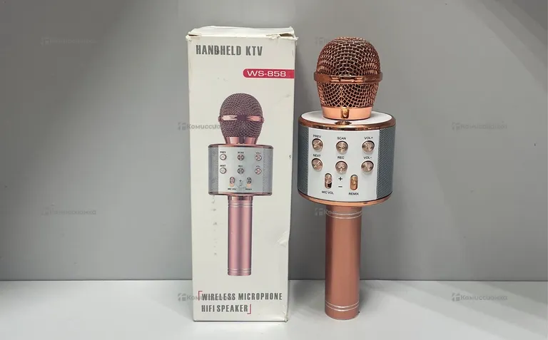 Колонка-микрофон WS-858