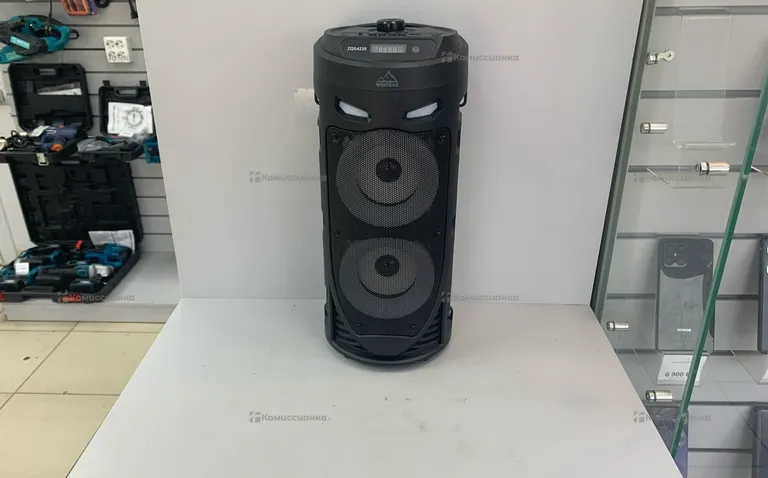 Колонка  ZQS4239
